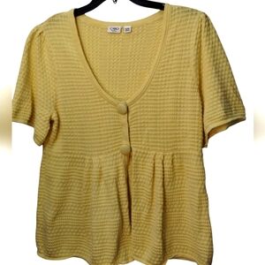 Plus Size Short Sleeve Sweater